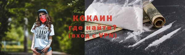 шишки Усинск