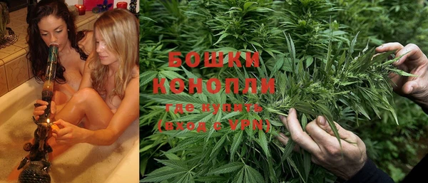 шишки Усинск