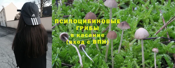 индика Бронницы