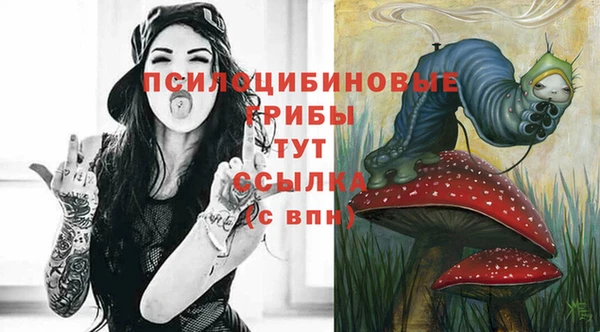 шишки Усинск