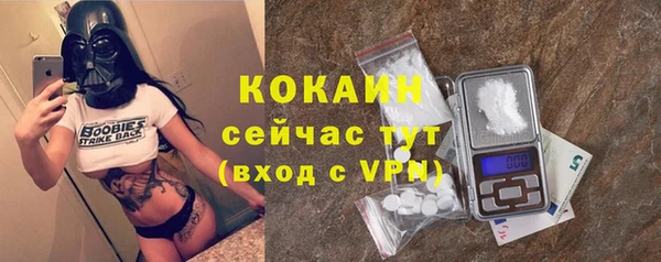 шишки Усинск