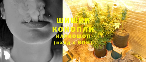 шишки Усинск
