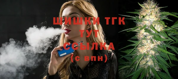 шишки Усинск