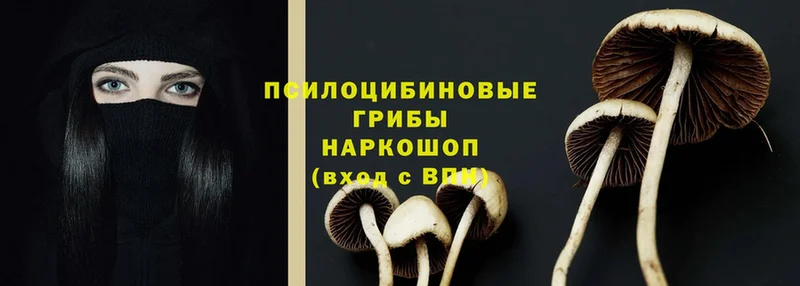 Псилоцибиновые грибы прущие грибы  хочу наркоту  Инза 